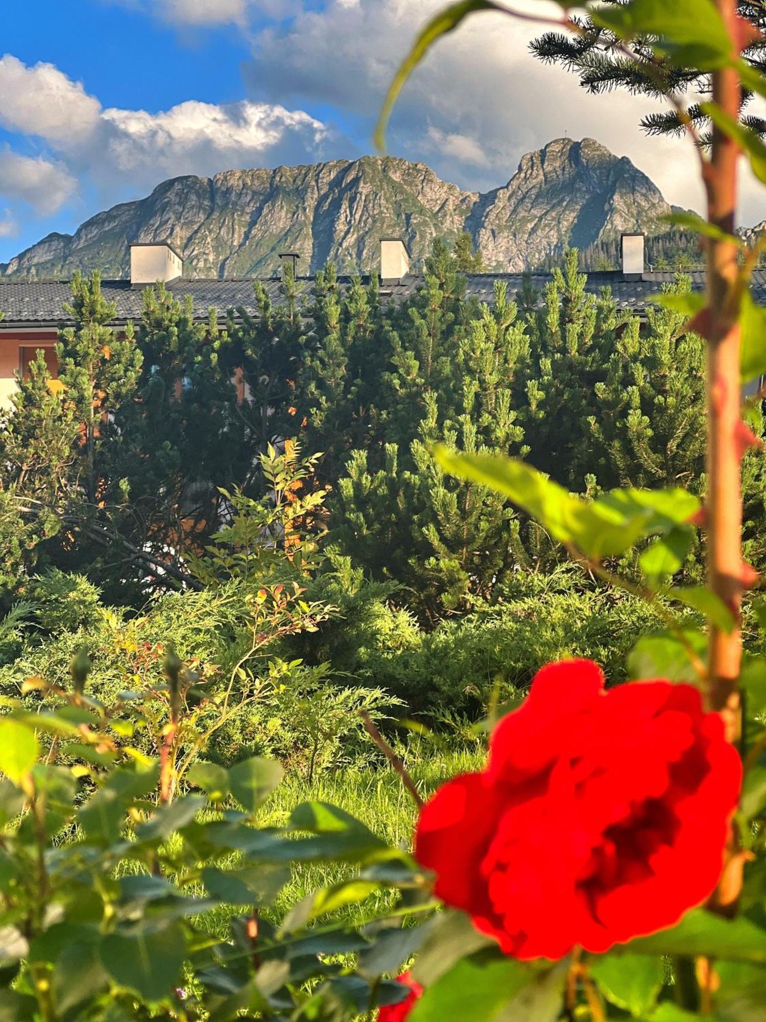 Apartament Lesny Z Kominkiem - Viva Pod Giewontem Apartamenty Zakopane Exteriér fotografie